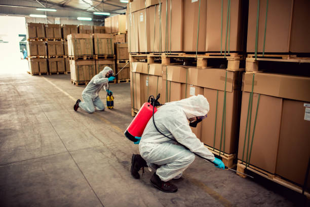 Best Local Pest Control Services  in Zionsville, IN