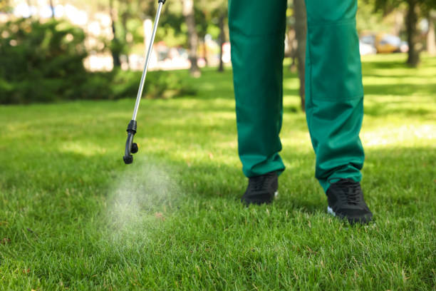 Best Exterminator Services  in Zionsville, IN