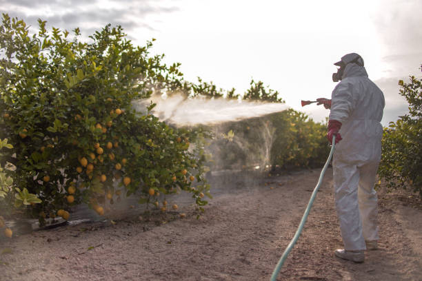 Best Termite Control Services  in Zionsville, IN