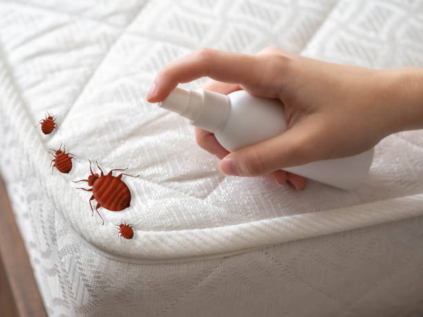 Best Cockroach Control Services  in Zionsville, IN