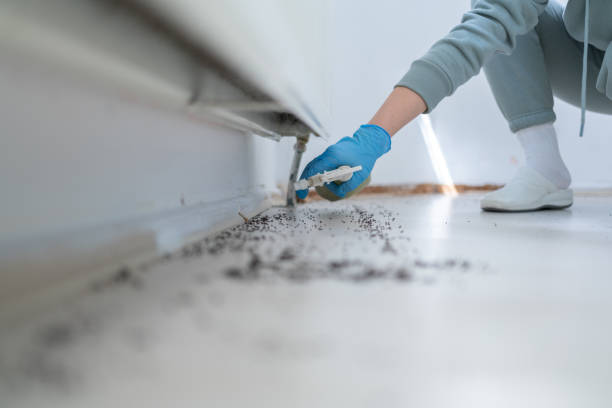 Best Pest Control Treatment  in Zionsville, IN